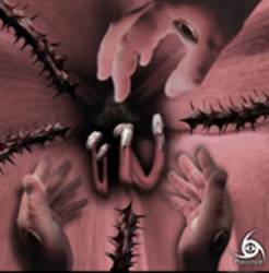 Para:noir : Amaryllis - Cosmos